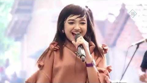 Cerita Anak Jalanan - Jihan Audy - NEW PALLAPA Live IRMIS 2017