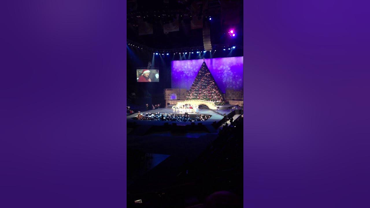 Living Christmas Tree Knoxville, TN YouTube