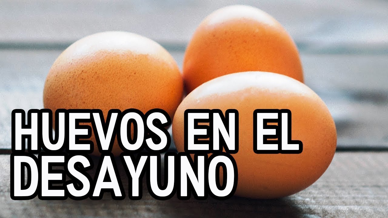 PUEDO COMER 3 HUEVOS EN EL DESAYUNO - YouTube FullSixPack