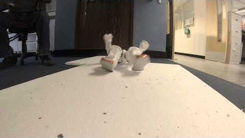 V1 Evolving Distance On a NAO Robot