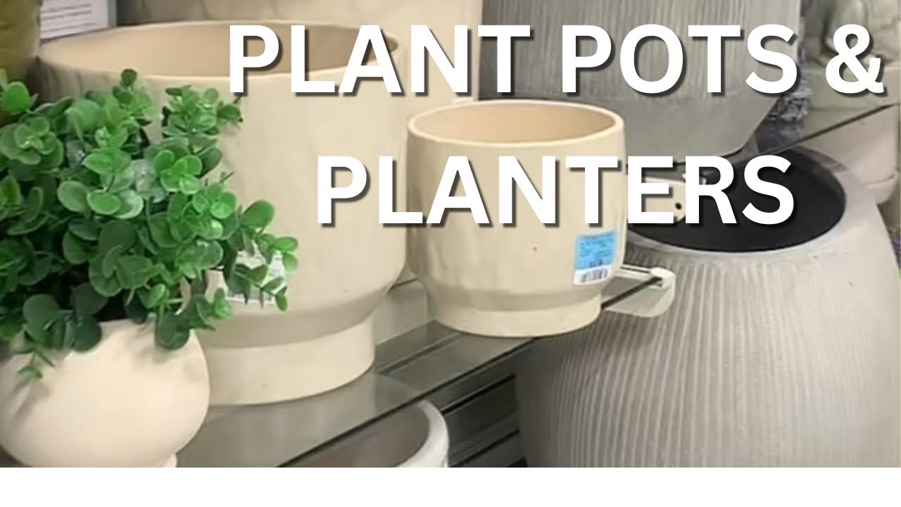 HomeSense Plant Pots & Planters | Home Decor Finds