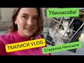 VLOG 2: Тбилисоба, стерилизация с сюрпризом, ОЧЕНЬ много животных! Моя жизнь в Грузии