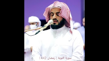 ما تيسر من سورة التوبة || الشيخ رعد الكردي ✨