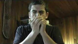 Harmonica Beatboxing