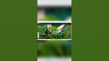 Mã code 41193.WP bán trái cây nông sản hoa quả rau củ quả online chuẩn SEO | Topcode.vn #shorts