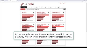 Enrichment analysis with Enrichr