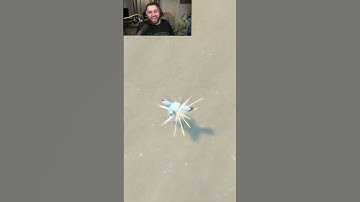 SHINY PHANPY IN POKEMON SCARLET / VIOLET #shinypokemon