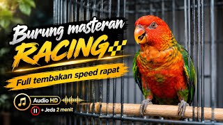 MASTERAN RACING |SPEED RAPAT | JEDA 2 MENIT | MUDAH DI REKAM SEMUA BURUNG