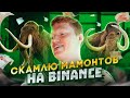 Скамлю мамонтов на криптобирже feat. Binance