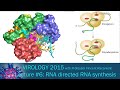 Virology 2015 Lecture #6: RNA directed RNA synthesis