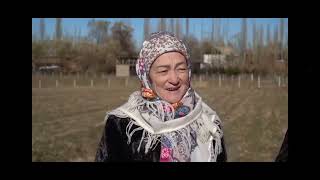 картинка: 24 сентября 2025 г.