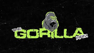 The Gorilla Firm Pinarello Demo Day 2024 04 13