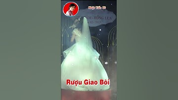 Dâu Rể Uống Rượu Giao Bôi Ngày Cưới /kênh nhật Tiến 39 shorts