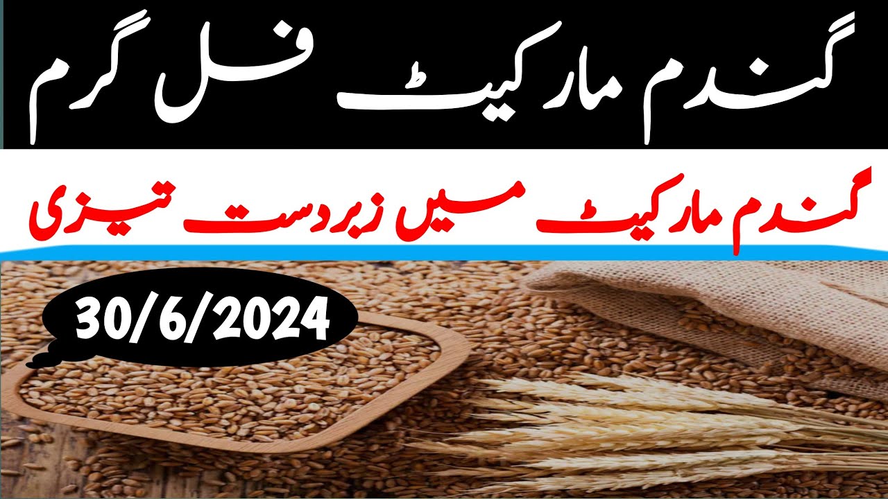 wheat price in pakistan today2024!wheat rate today in punjab pakistan ...