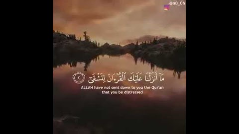 حالات واتس اب /سورة طه القرآن الكريم