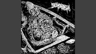 Ruthless Nasogastric Gavage