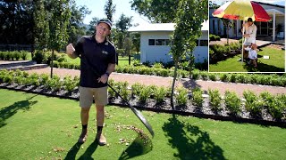 Lawn Care that's Good for Your Health / Autumn Lawn Care Tips