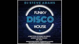 Funky Disco House Dec 2021