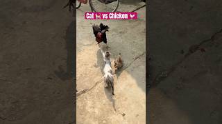 Mom Cat Fight For Baby #mom #kitten #cat #baby #fighting #animals #shorts