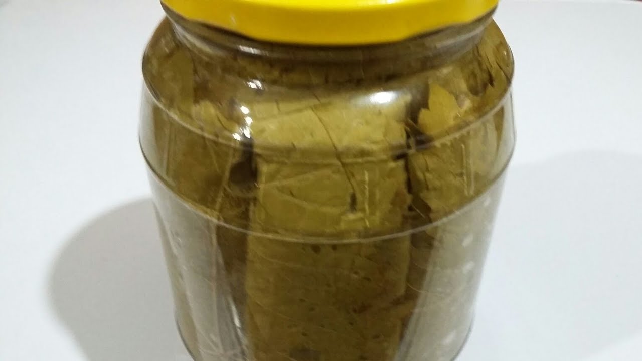 فكرة بمليون جنية لتخزين ورق العنب بره الثلاجة لمدة شهور وأطعم من الجاهز أكلنا بالمصري Youtube