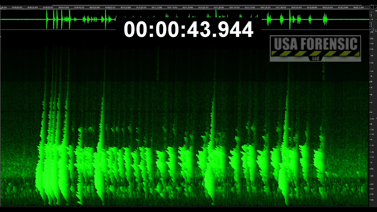 USA Forensic releases analysis of surveillance audio recording from Maya Millete neighborhood