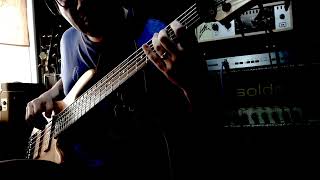 Dont Turn Away  Whitesnake Bass Cover