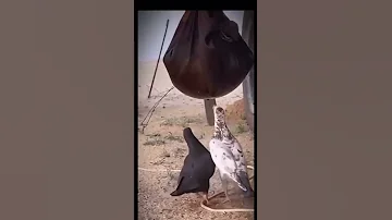 الا يالله عليك المغفره والستر والتيسير 