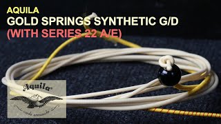 Review Aquila Gold Springs Synthetic Gd Aquila Series 22 Ae Double Bass Strings
