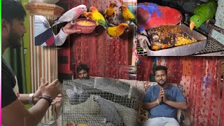 Come to 500 km far for African grey parrot. favorite healthy soft food for parrot & birds.#vlog screenshot 2