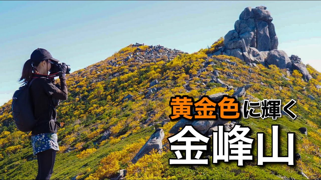 Tent-staying mountain climbing] Shining yellow leaves! Mt. Kinpu