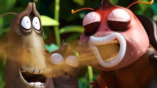 larva rotten breath cartoon movie cartoons for children larva cartoon larva official