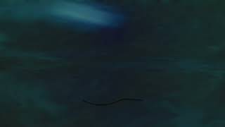 This Thing a Quiet Madness Made (teaser)