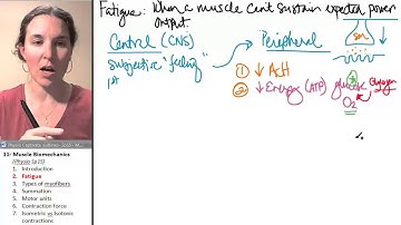 Biomechanics 2- Fatigue