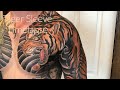 Japanese Tiger Tattoo Time Lapse
