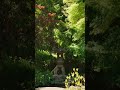 2026/05/17 #旧前田侯爵邸和館 #LUMIX #S1RII #BRAW #Cinematic #8K動画 #tokyo #東京 #洋館 #目黒 #meguro #Anamorphic #8K