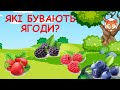 Ягоди - їстівні та отруйні. Які бувають ягоди. Про ягоди дітям. Лісові ягоди - їстівні та отруйні.