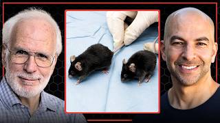 Issues with the standard mouse models for research | Peter Attia & Rich Miller