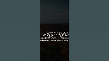 تلاوة رائعه تهدي الأعصاب🤍من فضيلة الشيخ        ياسر الدوسري #المصحف