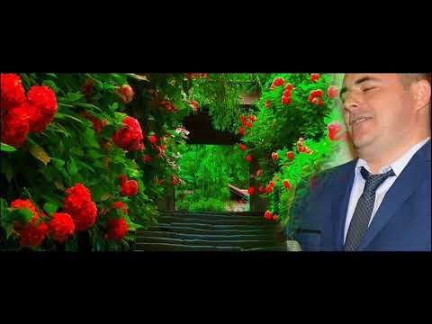 Sorinel de la Plopeni Frunzulita de susai Cate zile am muncit colaj sarbe
