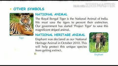 Class 3 EVS Chapter 4 National Symbols Part 2