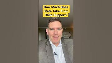 How Much Does The State Take From Child Support Payments? #childsupport #shorts