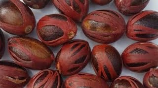 Kungu Manga.the Spice That Boost Your Libido