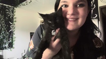 LCSC Communications 101 Introduction Video