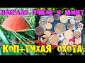 Ко и О #111 ПОИСК ГРИБОВ МОНЕТ КЛАДОВ СТАРИНЫ ТИХАЯ ОХОТА SEARCH MUSHROOMS OF THE COIN HOARDS