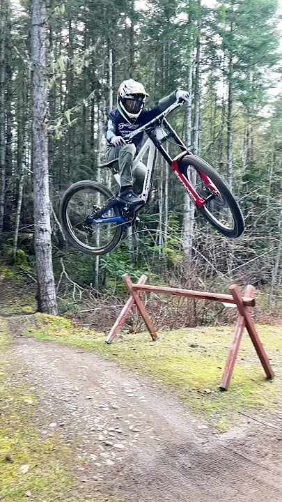 NEW BIKE DAY 😮‍💨 Custom painted Norco Range DH #new #bike #mtb