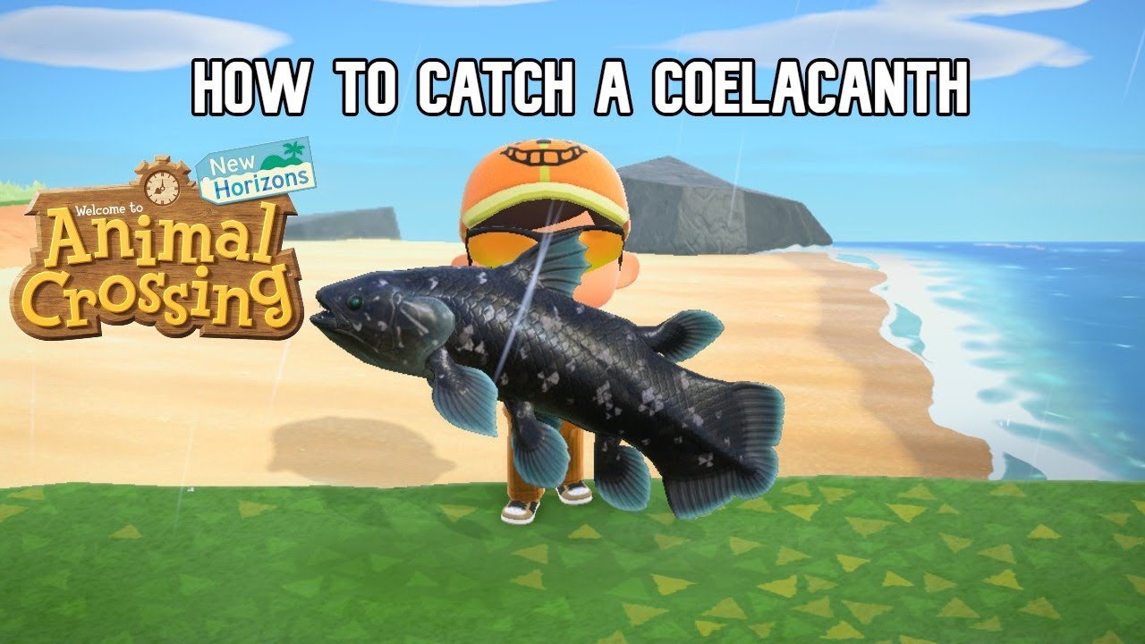 How To Catch a Coelacanth in Animal Crossing new Horizons - YouTube