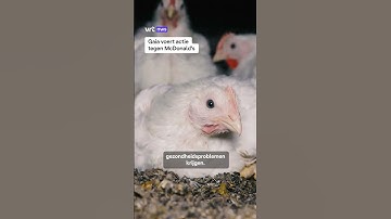 Gaia voert actie tegen McDonald