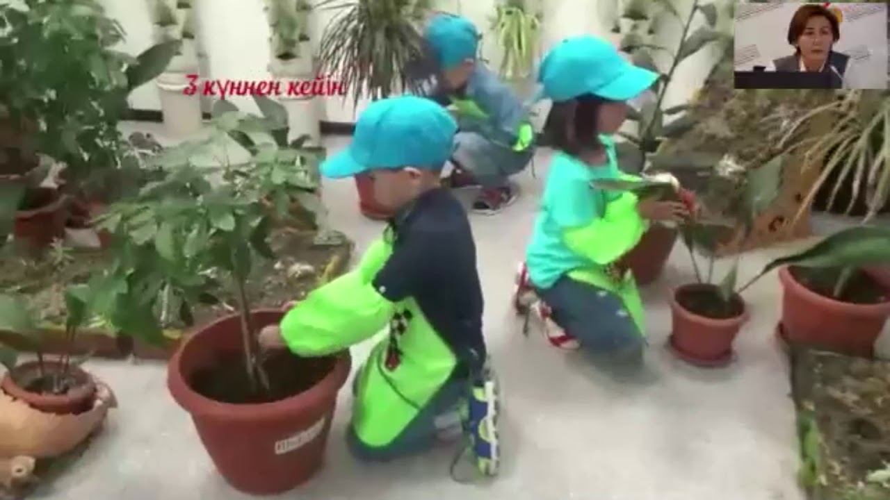 Поданова Гульзира Халбаевна:  «GREEN STUDIO – экологиялық тәрбиенің бір түрі»