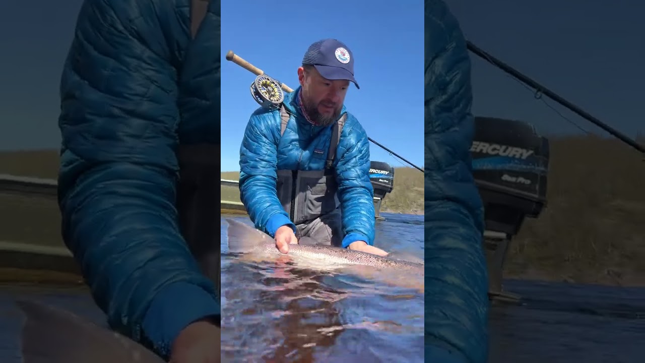 Поной 2024// Ponoi 2024