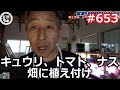 キュウリ、トマト、ナス畑に植え付けの巻